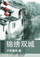 錦綉雙城小说封面
