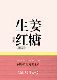 生薑紅糖小说封面